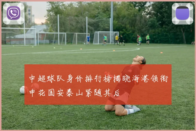 中超球队身价排行榜揭晓海港领衔申花国安泰山紧随其后